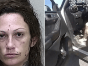 Kendra Boone Florida woman steals cop SUV, kills 3 including self in wrong way crash